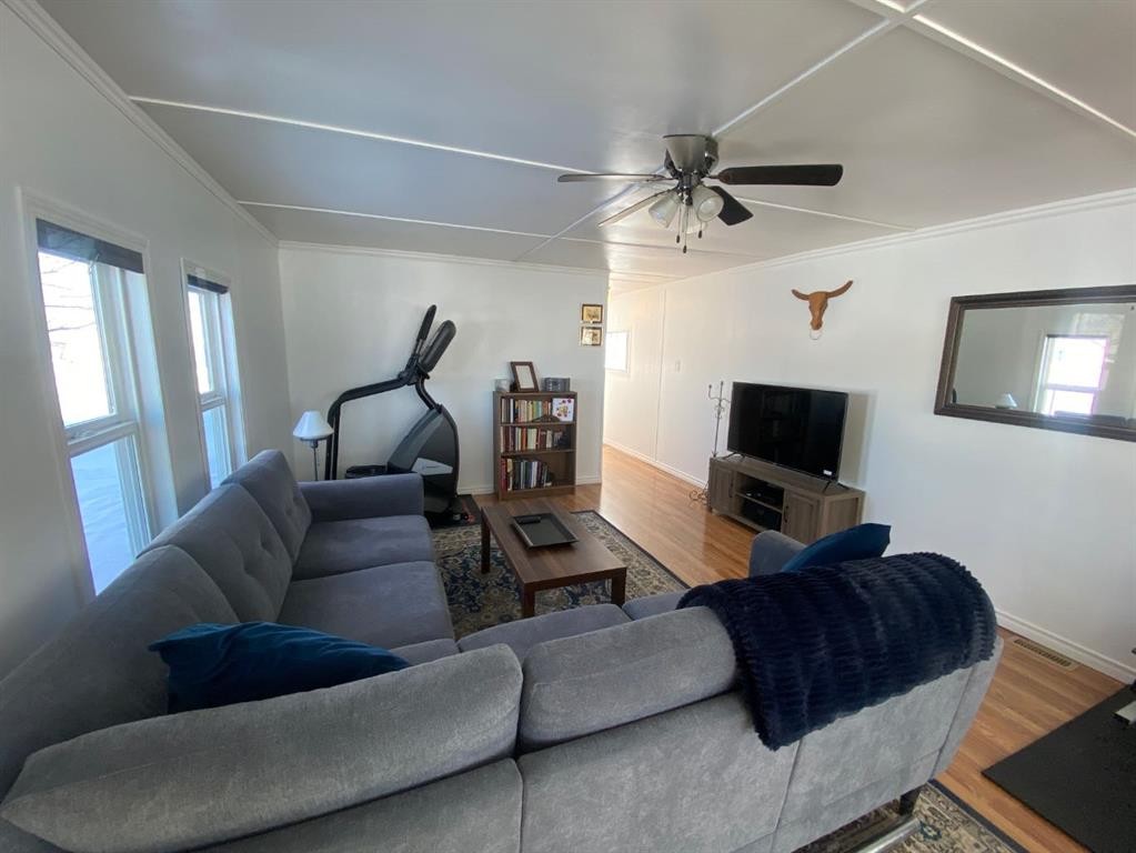 220 1 Avenue Se, Youngstown, AB - Indoor Photo Showing Living Room