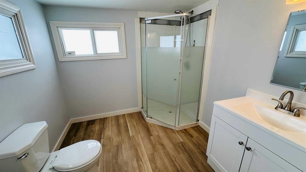 1133 300 Newcastle Place, Drumheller, AB - Indoor Photo Showing Bathroom