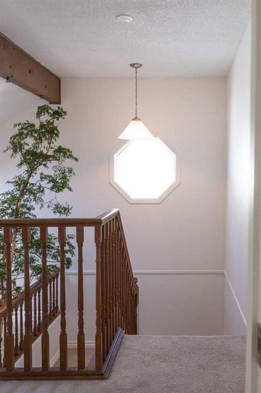 283 Abinger Crescent Ne, Calgary, AB - Indoor Photo Showing Other Room