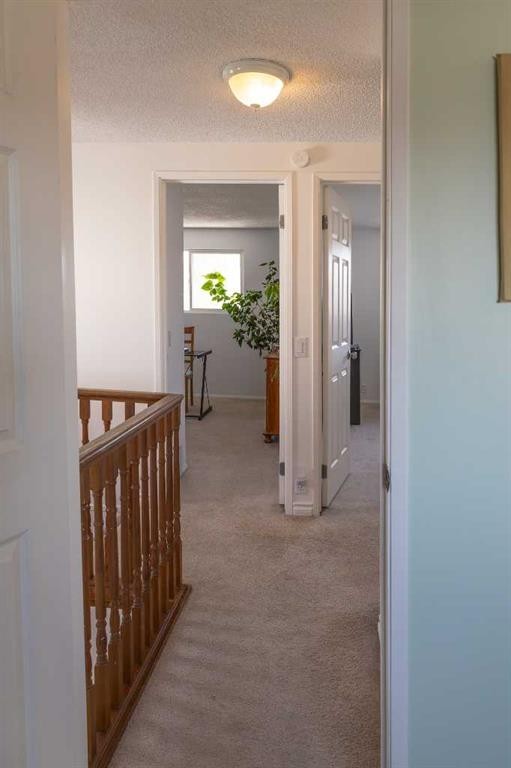 283 Abinger Crescent Ne, Calgary, AB - Indoor Photo Showing Other Room