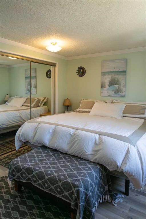 283 Abinger Crescent Ne, Calgary, AB - Indoor Photo Showing Bedroom