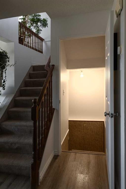 283 Abinger Crescent Ne, Calgary, AB - Indoor Photo Showing Other Room