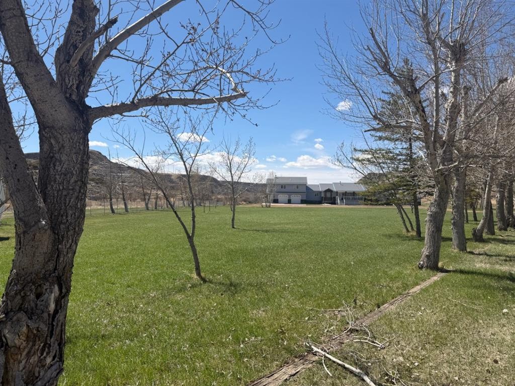 765 Excelsior Avenue, Drumheller, AB - Outdoor With View