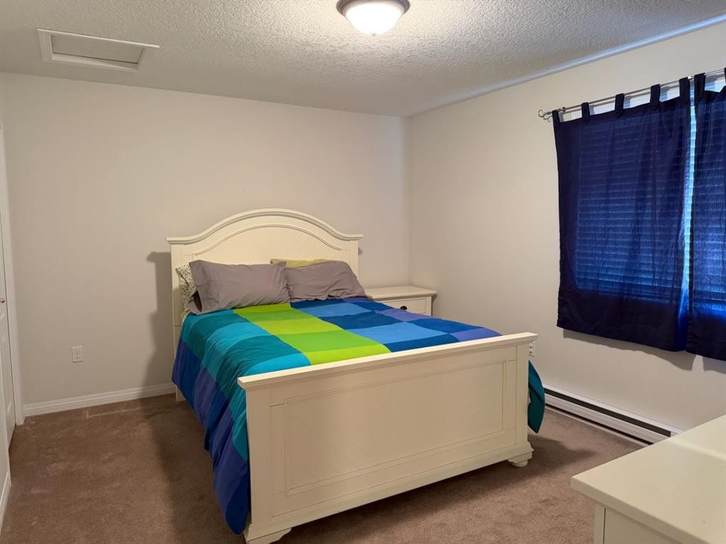 765 Excelsior Avenue, Drumheller, AB - Indoor Photo Showing Bedroom