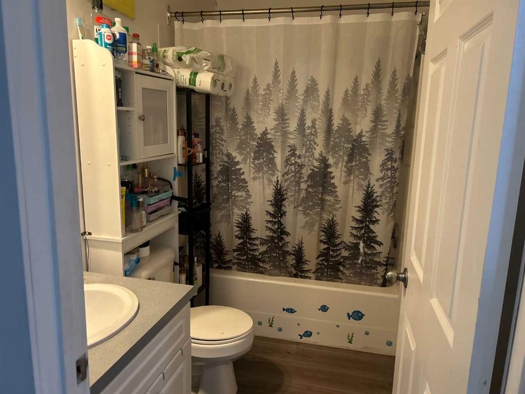 1708 2Nd Avenue East, Brooks, AB - Indoor Photo Showing Bathroom