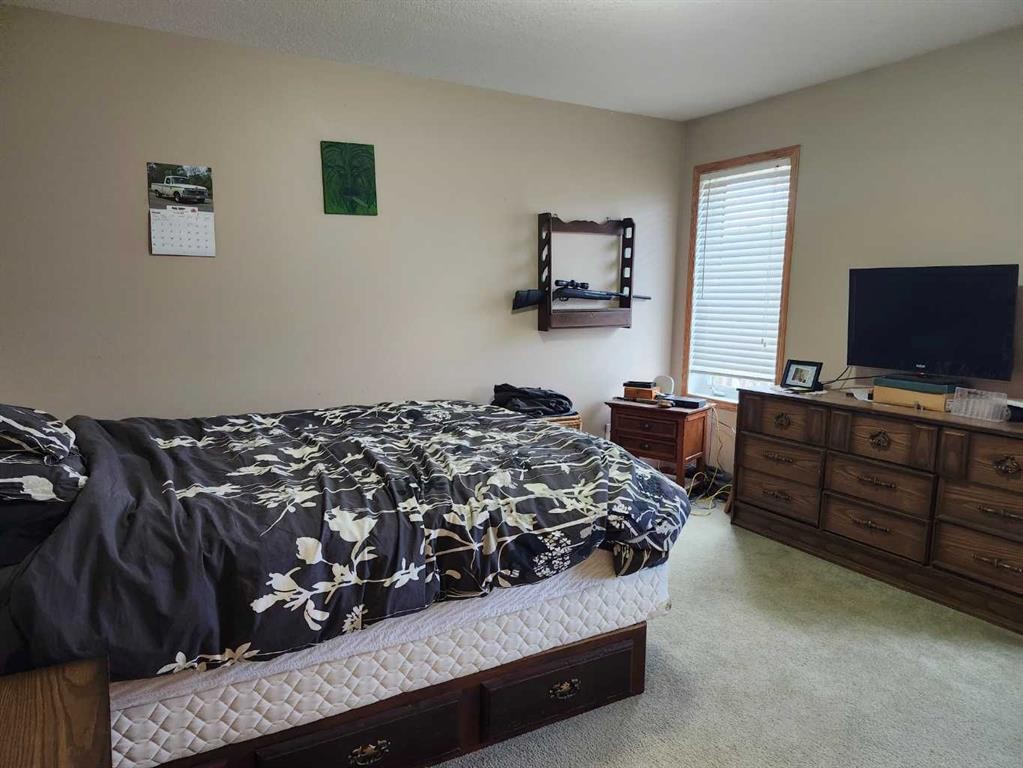 242 Mcnab Close, Drumheller, AB - Indoor Photo Showing Bedroom