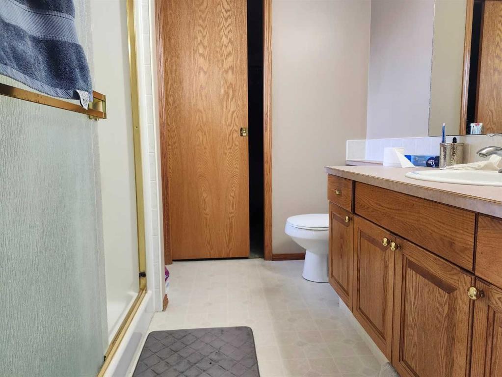 242 Mcnab Close, Drumheller, AB - Indoor Photo Showing Bathroom