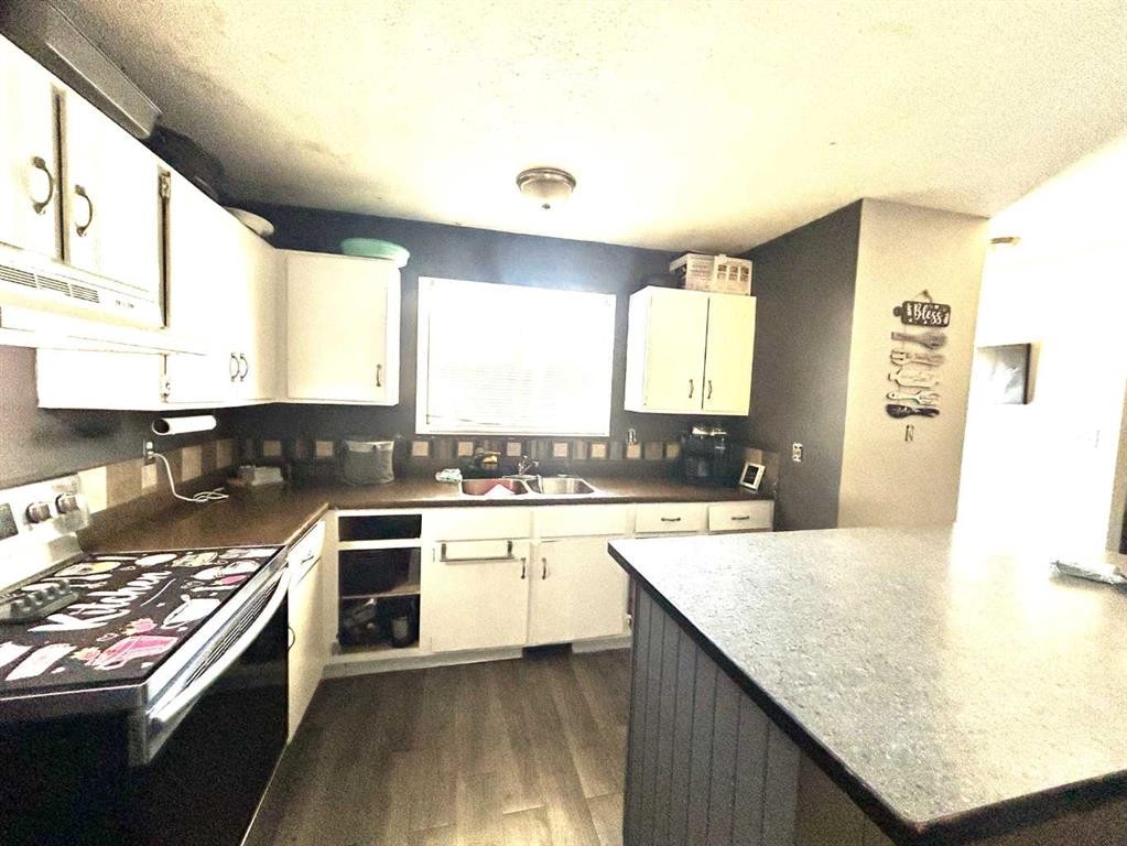 161 Ingram Park Drive East, Brooks, AB - Indoor Photo Showing Kitchen With Double Sink