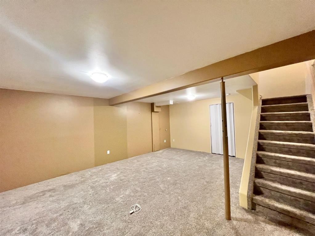 808 Birchwood Close, Drumheller, AB - Indoor Photo Showing Basement