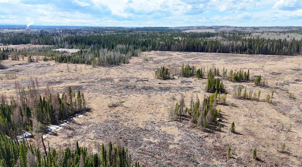 53428 Range Road 170, Edson, AB