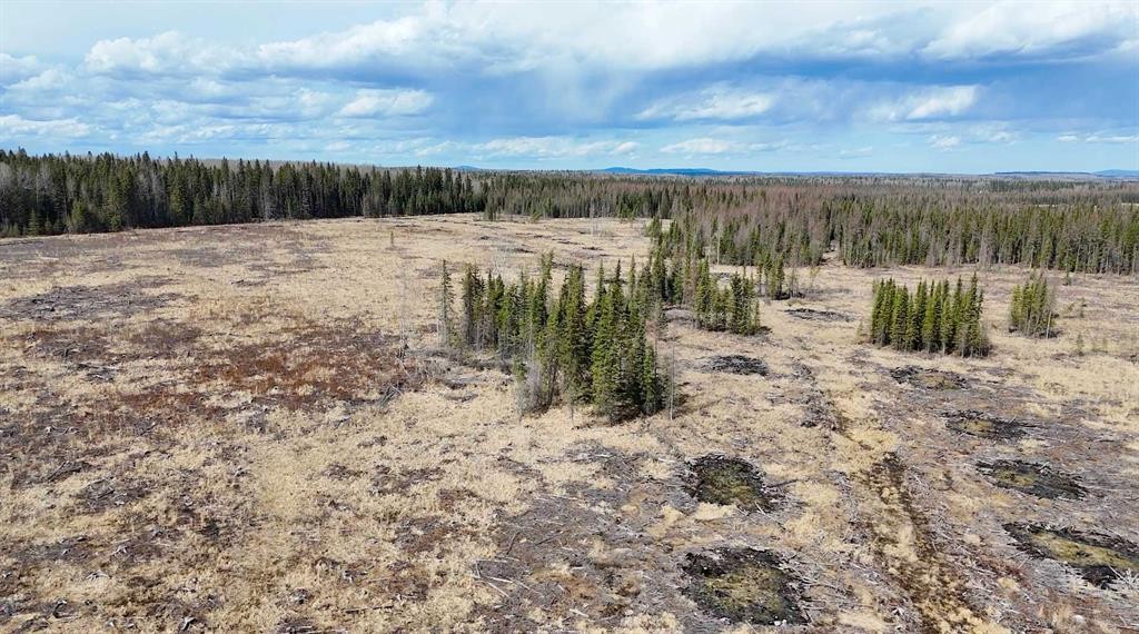 53428 Range Road 170, Edson, AB