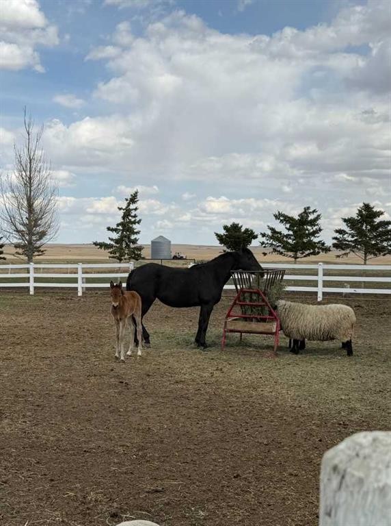 200075 Twp Rd 302, Rural Starland County, AB - Outdoor With View