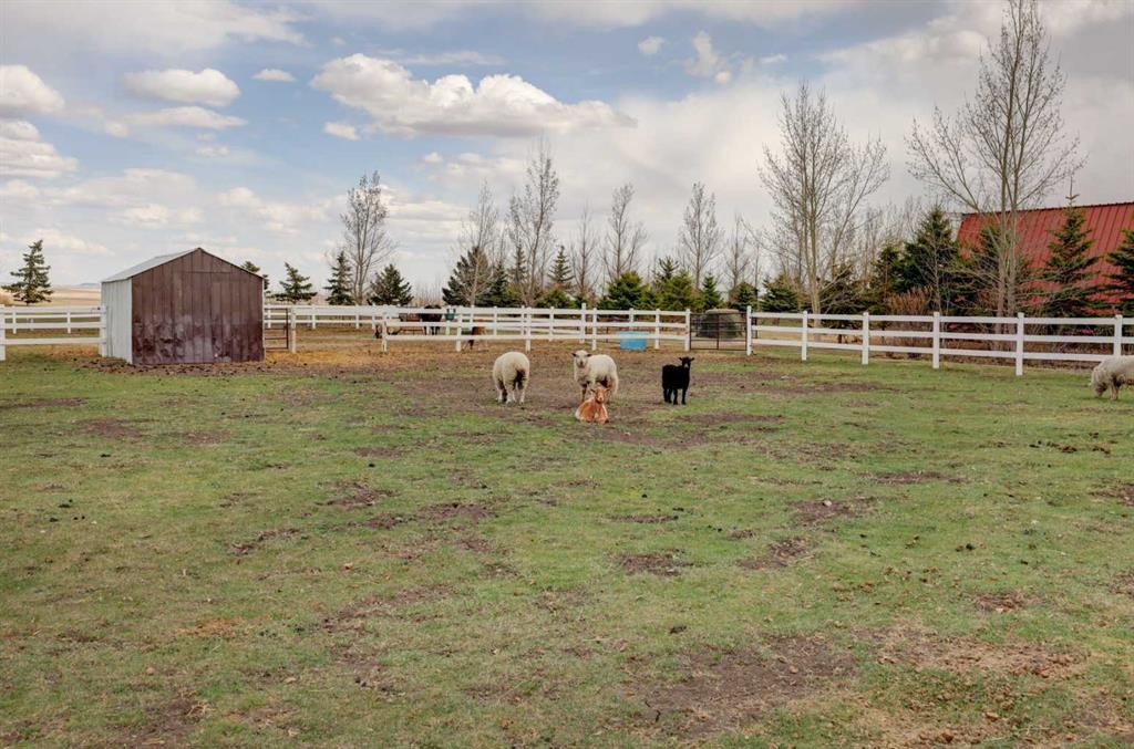 200075 Twp Rd 302, Rural Starland County, AB - Outdoor With View
