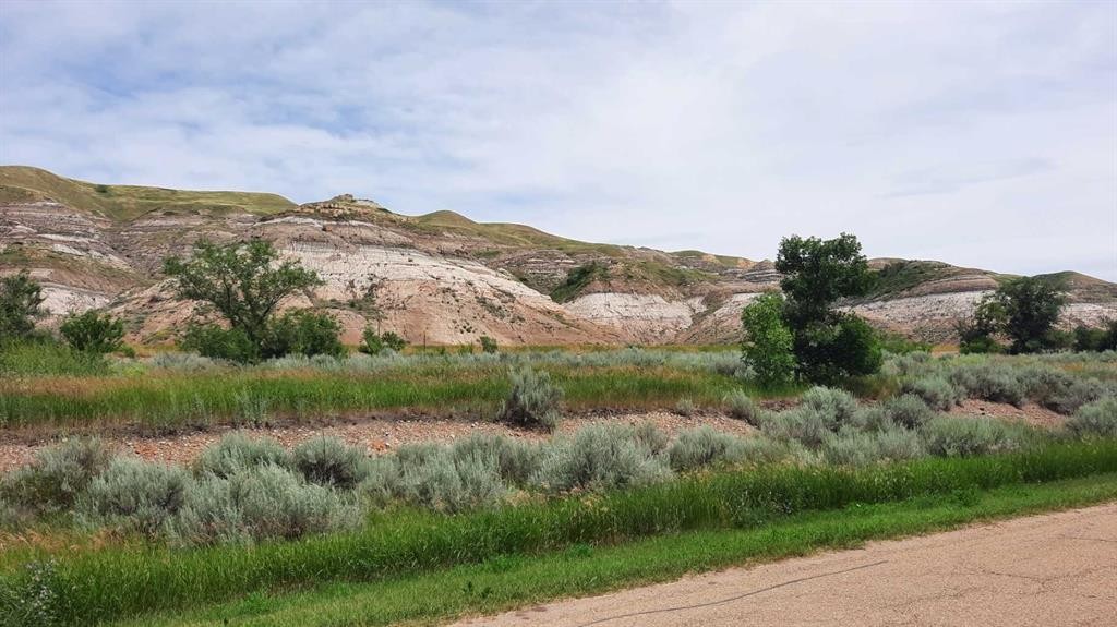 261 1 Avenue, Drumheller, AB - Outdoor With View