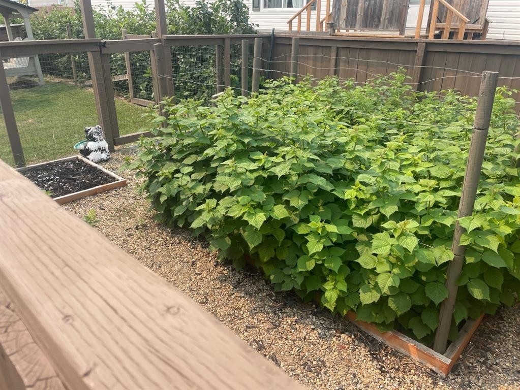 92 Railway Avenue, Rosemary, AB - Outdoor