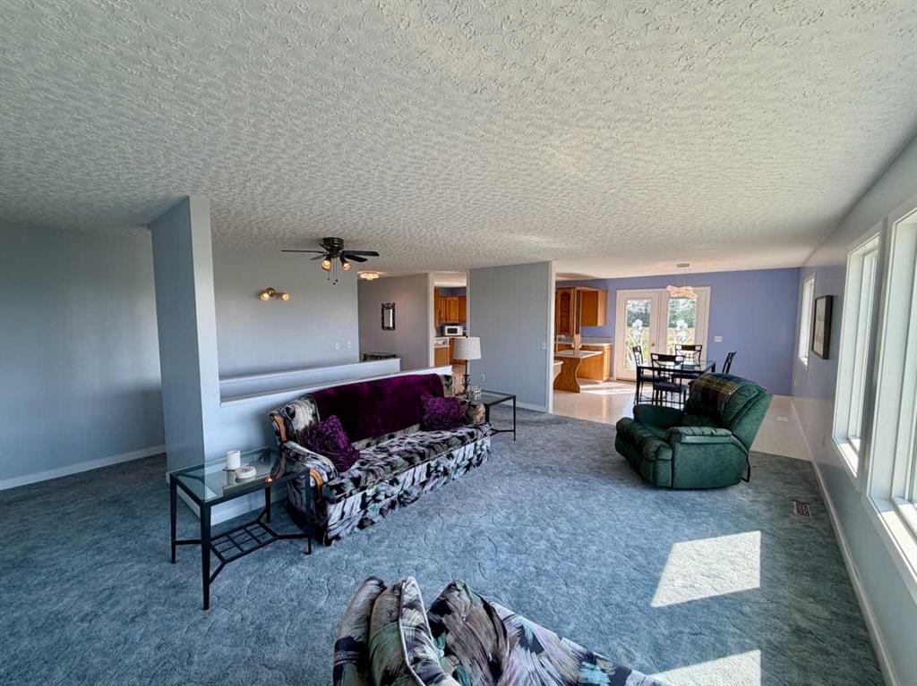 795008 Range Road 44, Rycroft, AB - Indoor Photo Showing Living Room