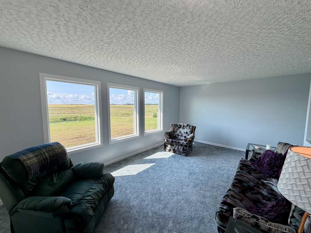 795008 Range Road 44, Rycroft, AB - Indoor Photo Showing Living Room
