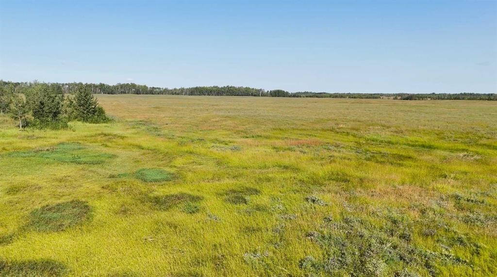 795008 Range Road 44, Rycroft, AB - Outdoor With View