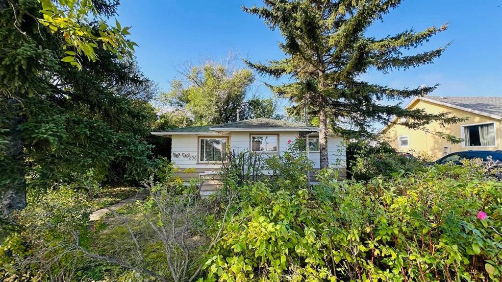 206 1 Avenue North, Morrin, AB