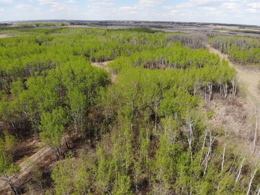 450031 73 Range, Rural Wainwright No. 61, M.D. Of, AB