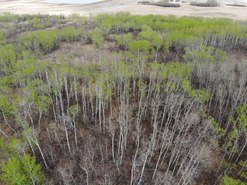 26 450031 73 Range, Rural Wainwright No. 61, M.D. Of, AB