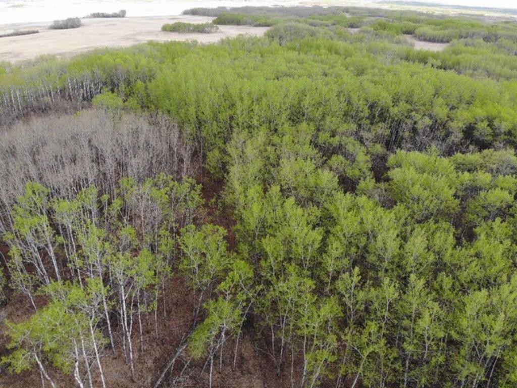 26 450031 73 Range, Rural Wainwright No. 61, M.D. Of, AB