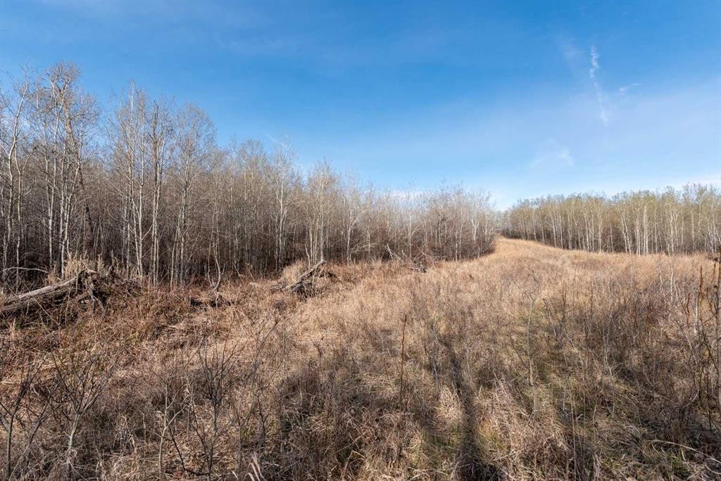 502051 Rge. Rd. 25, Rural Vermilion River, County Of, AB