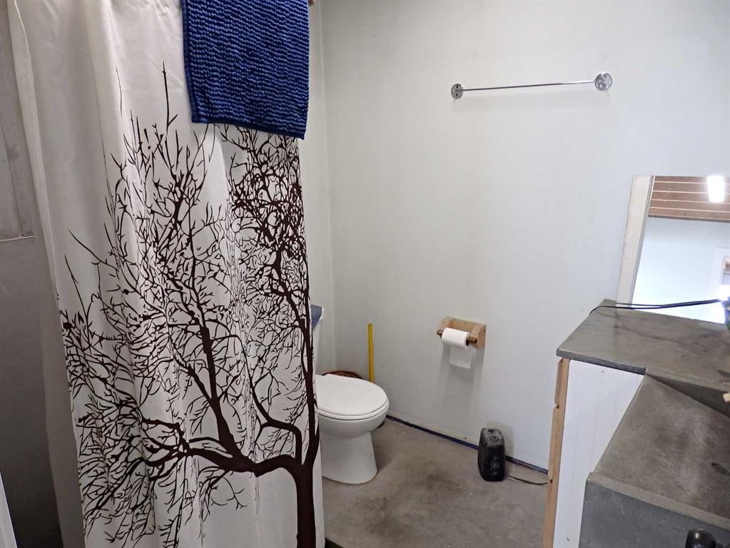 121 Hwy 897 Highway, Marwayne, AB - Indoor Photo Showing Bathroom