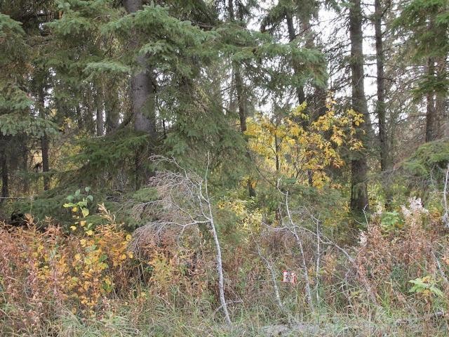 Lot 25 Bodnar Road, Brightsand Lake, SK
