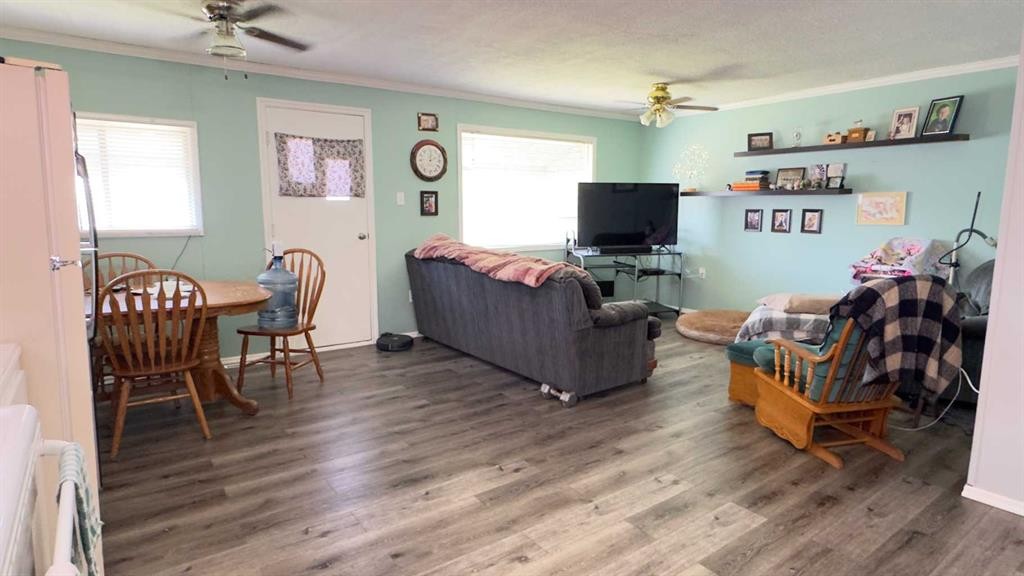 39 Rydberg Street, Hughenden, AB - Indoor Photo Showing Living Room