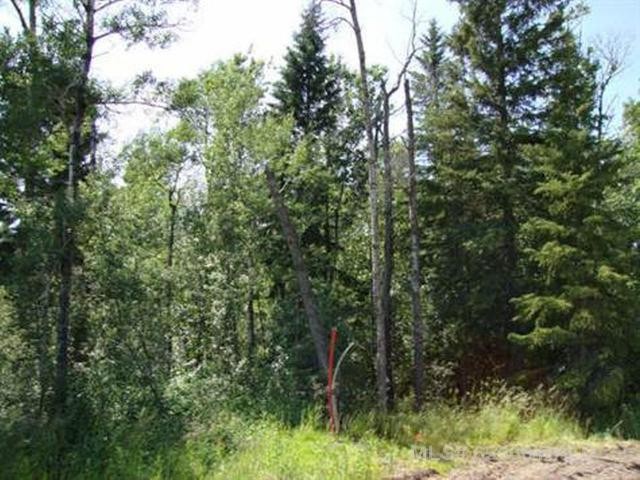 Lot 1 Blk 5 Lakeside Drive, Perch Lake, SK