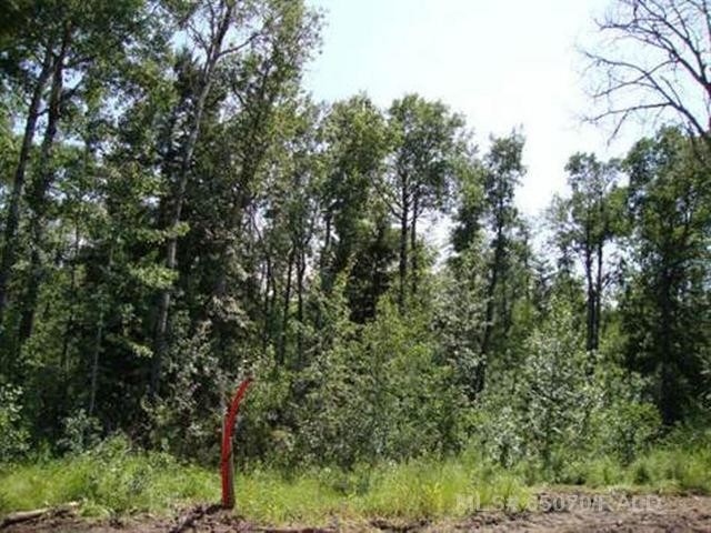 Lot 3 Blk 5 Lakeside Drive, Perch Lake, SK