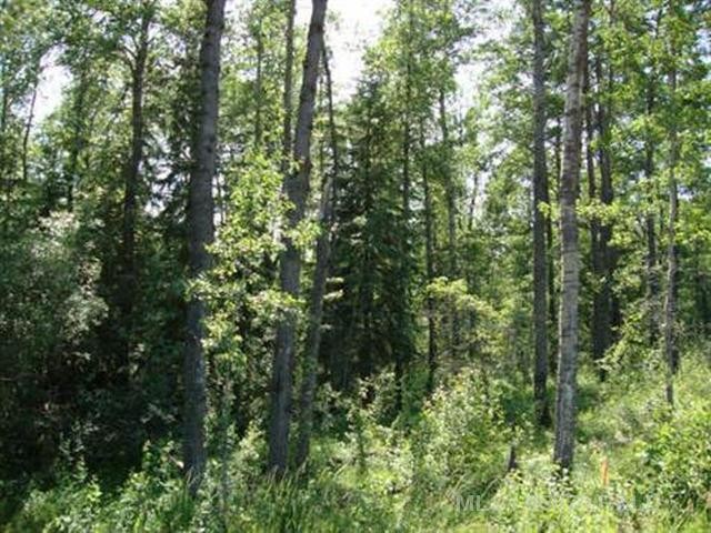 Lot 3 Blk 5 Lakeside Drive, Perch Lake, SK