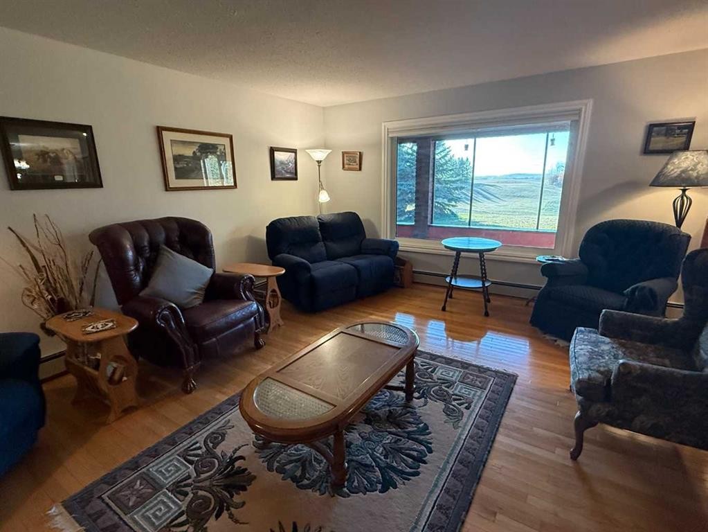 48077 Range Road 3275, Rural, SK - Indoor Photo Showing Living Room