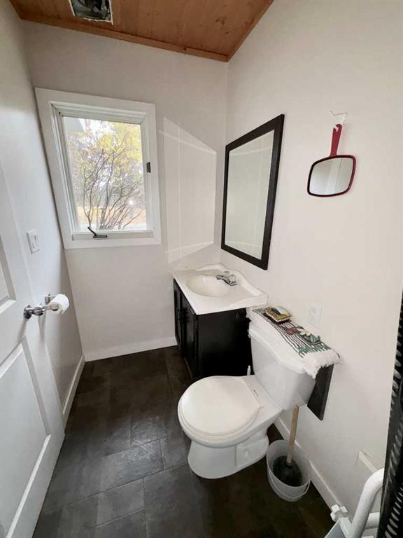 5140 48 Street, Mannville, AB - Indoor Photo Showing Bathroom