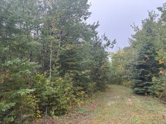 Ne 35-54-21 W3, Rural, SK