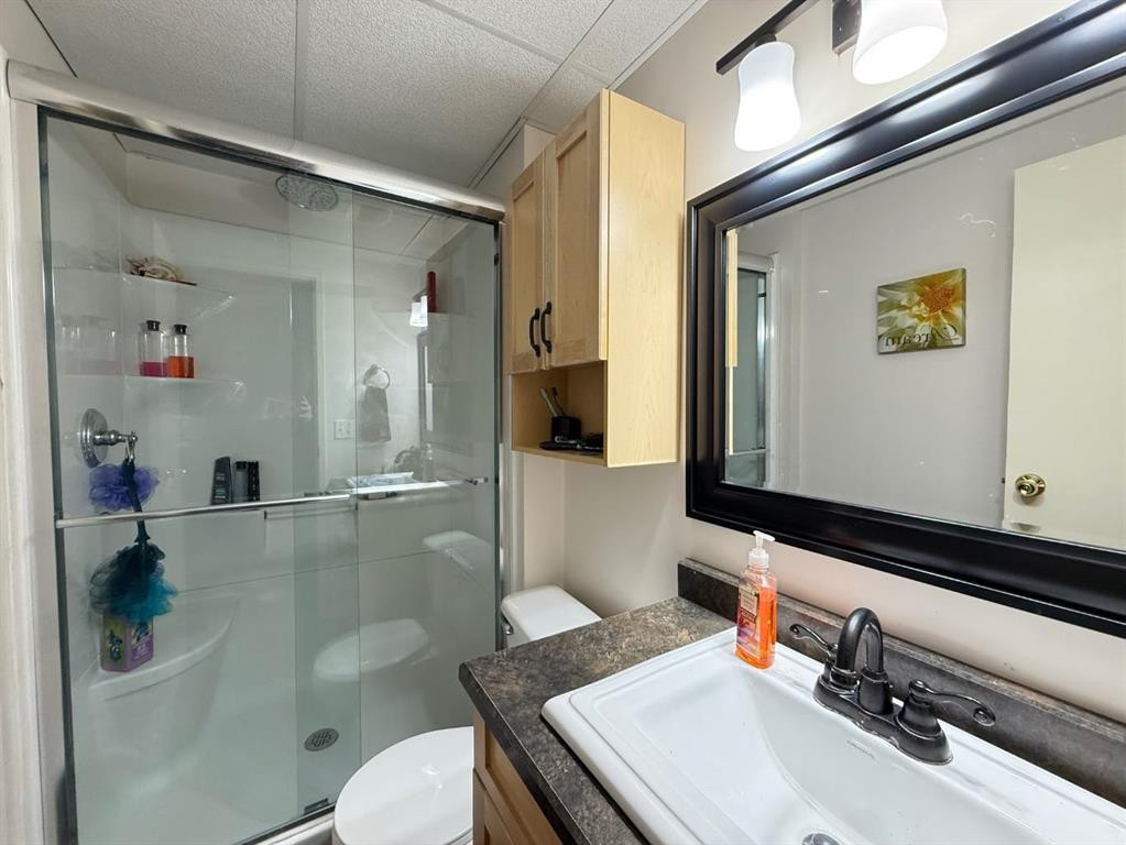 5101 55 Street, Mannville, AB - Indoor Photo Showing Bathroom