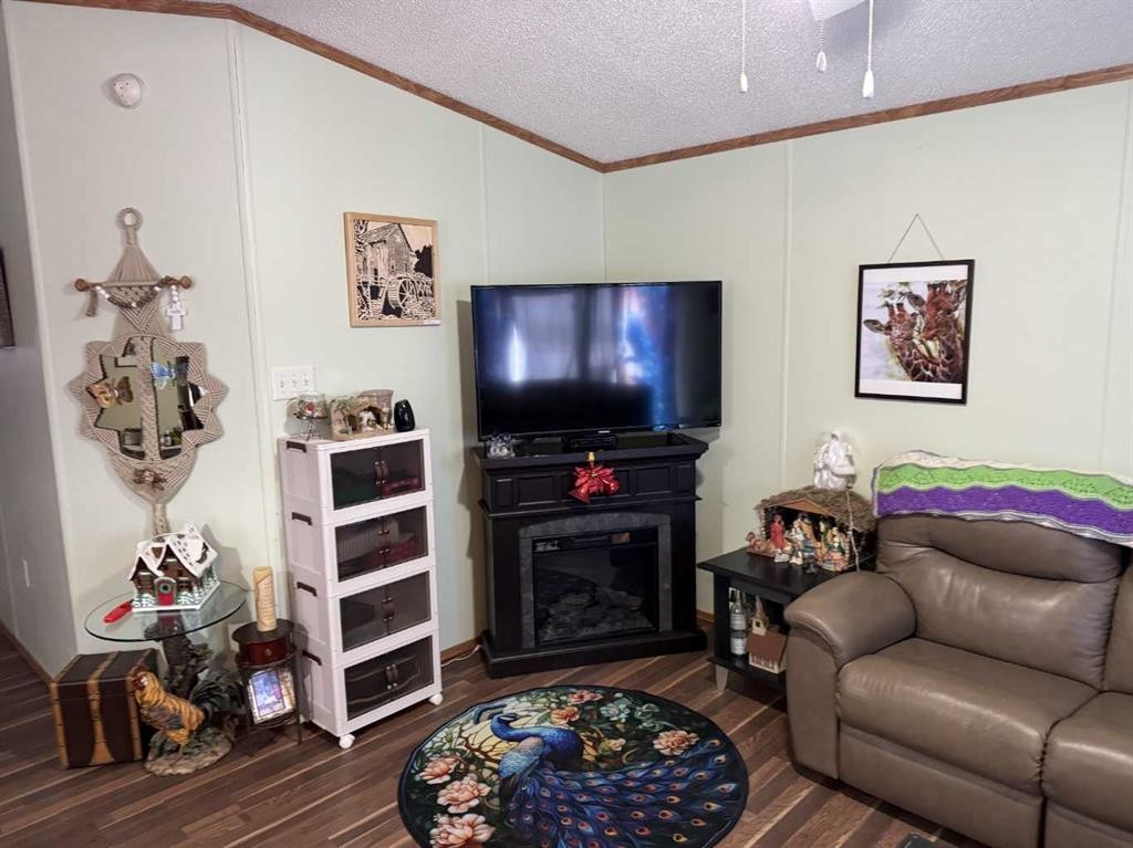 5037 50 Avenue, Edgerton, AB - Indoor Photo Showing Living Room With Fireplace