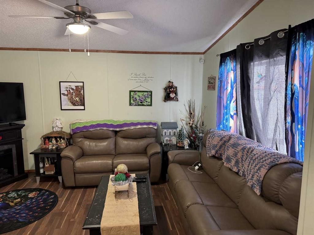 5037 50 Avenue, Edgerton, AB - Indoor Photo Showing Living Room
