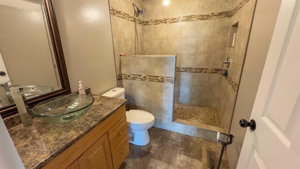 43365 Hwy 881, Hardisty, AB - Indoor Photo Showing Bathroom