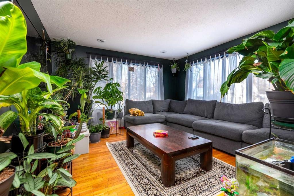 5317 49 Street, Lloydminster, AB - Indoor Photo Showing Living Room