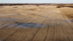 NE 23-53-13-W4 & SE 23-53-13-W4 Rural Two Hills No. 21, County Of, AB T9C 1R9