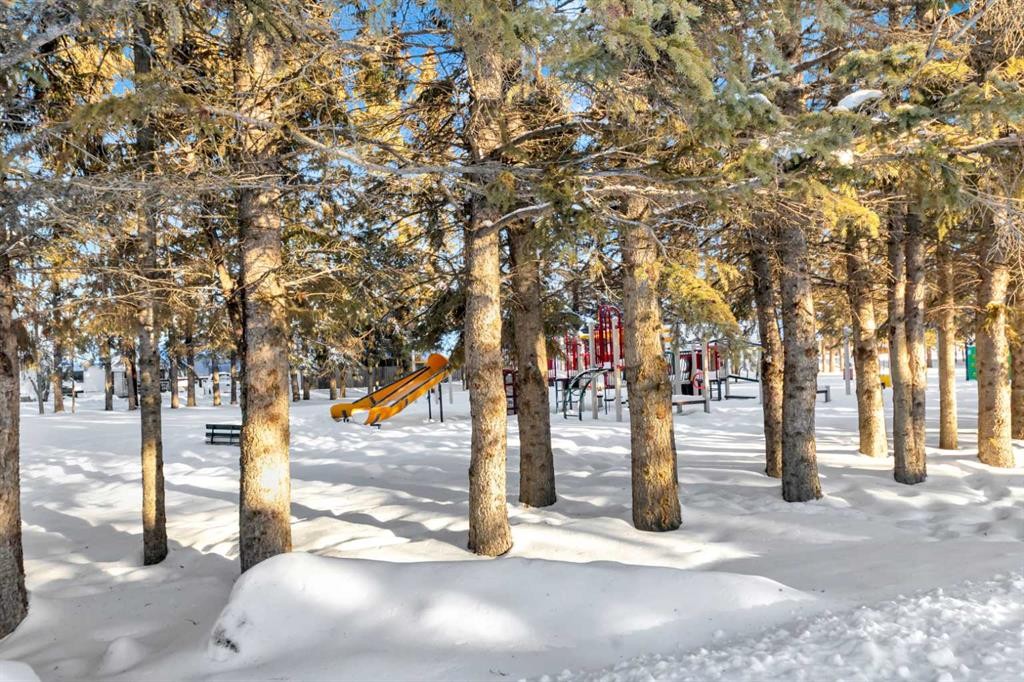 230 2 Avenue, St. Walburg, SK - Outdoor With View