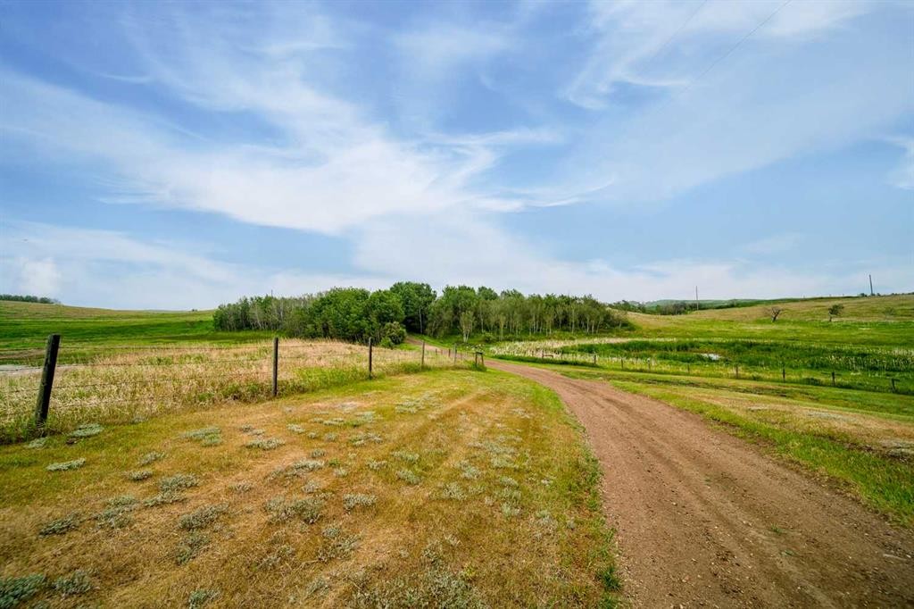 52005 Twp Rd 443, Rural Wainwright No. 61, M.D. Of, AB - Outdoor With View