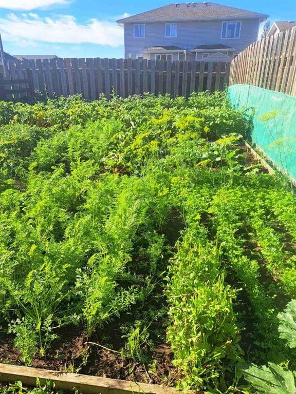 2837 12 Avenue, Wainwright, AB - Outdoor