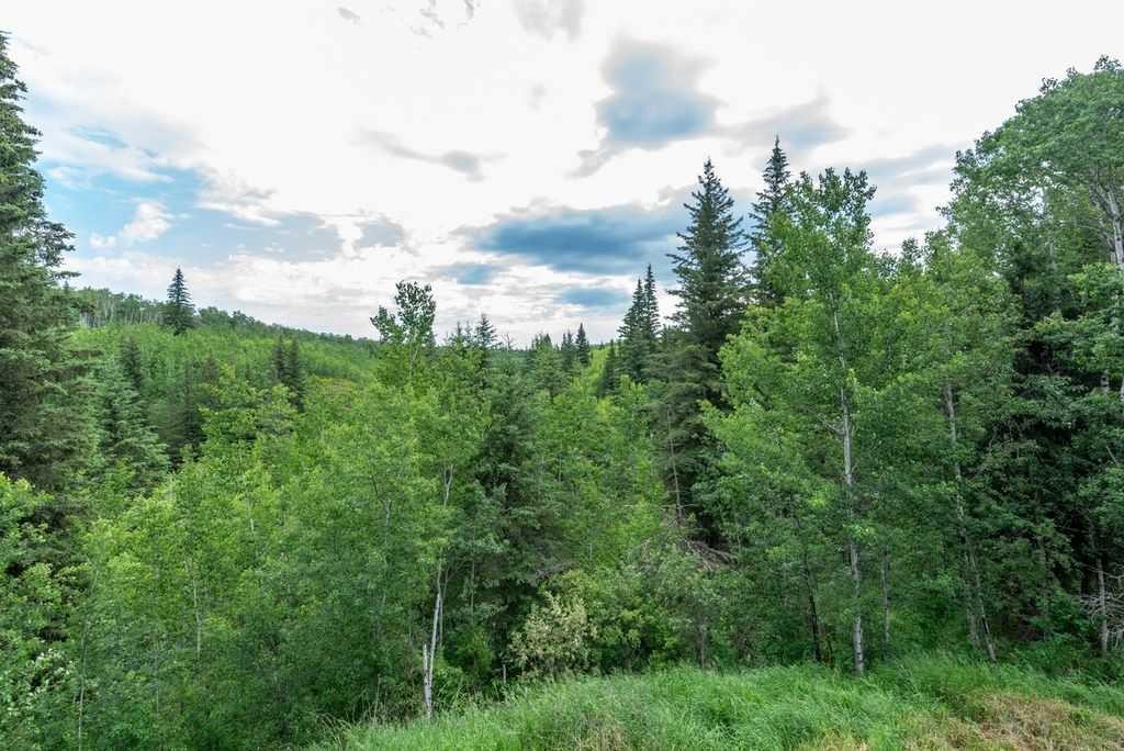 62407 Range Road 431, Ardmore, AB - Outdoor With View