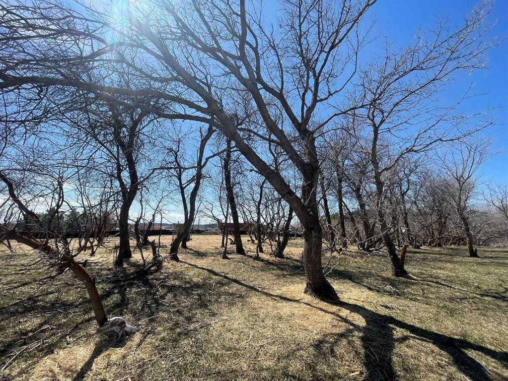 47275 Range Road 3272, Rural, SK - Outdoor With View
