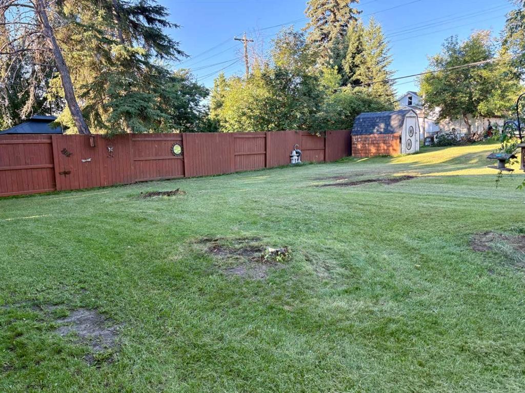 4811 52 Street, Innisfree, AB - Outdoor