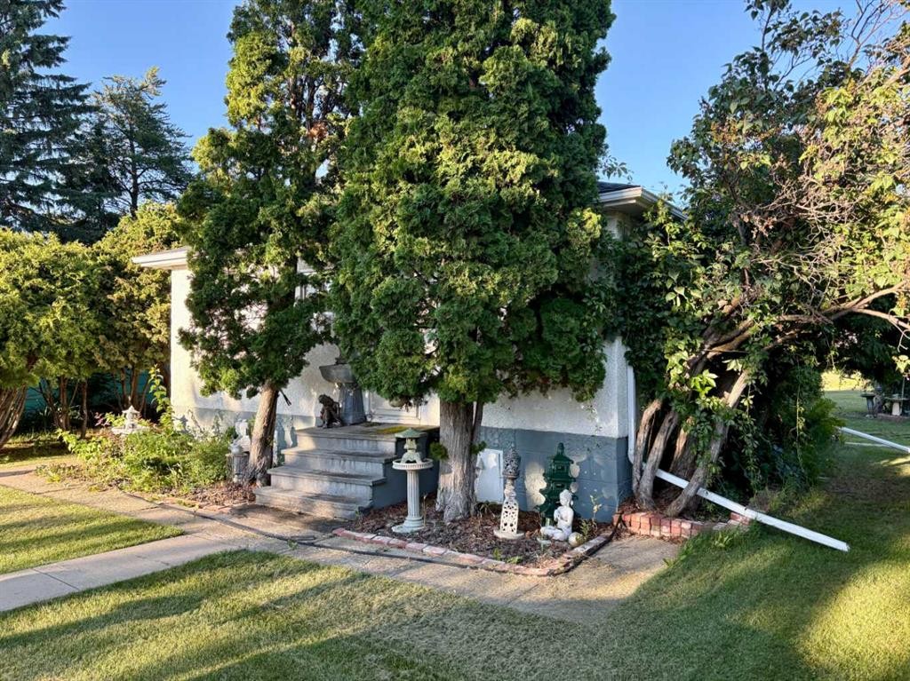 4811 52 Street, Innisfree, AB - Outdoor