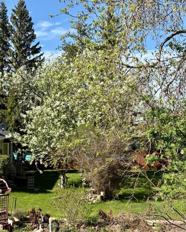 4811 52 Street, Innisfree, AB - Outdoor